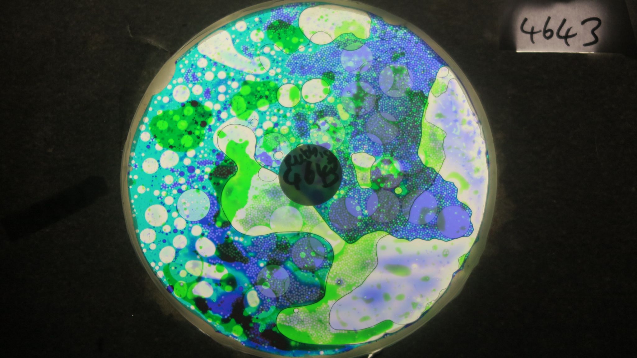 BV4643 bubble vision oil wheel